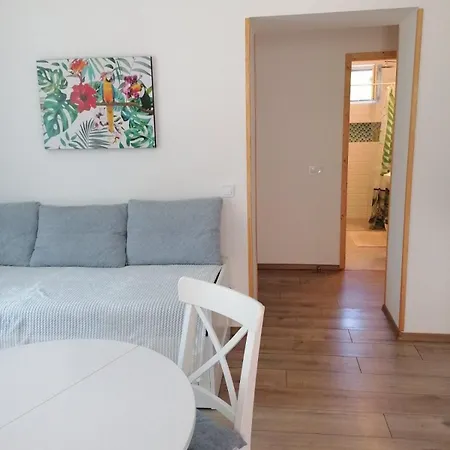 Borika Vip