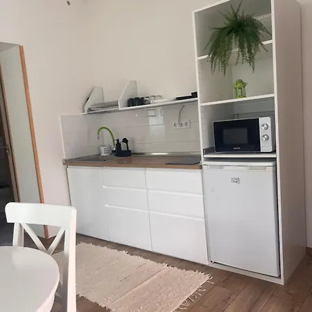 Borika Vip アパート Mezőkövesd